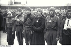 photo Mauthausen concentration camp - Russian Prisoners of War (3)