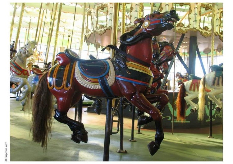 Photo merry-go-round