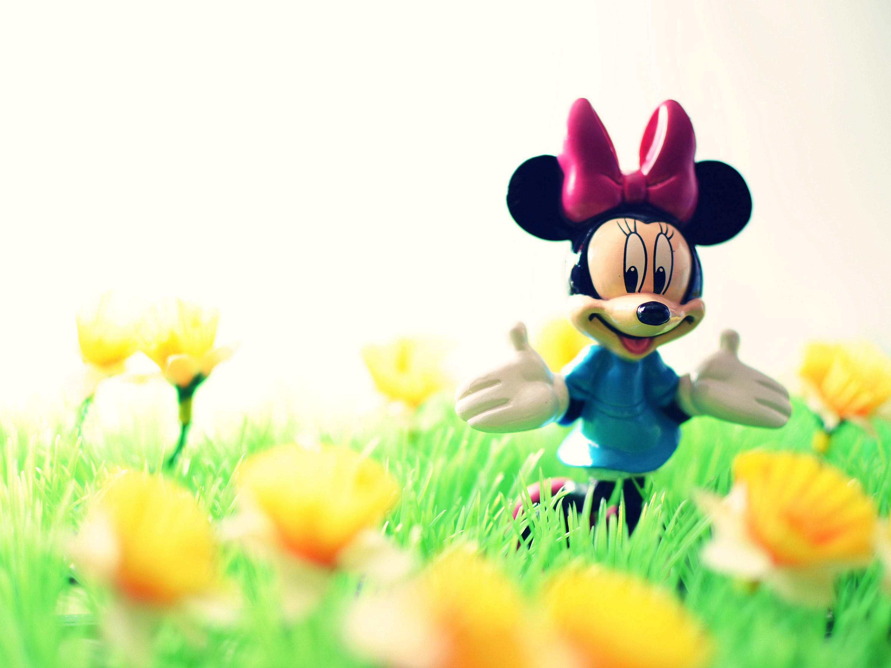 Photo Minnie Mouse