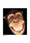 Photos monkey 