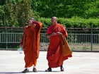 Photos monks