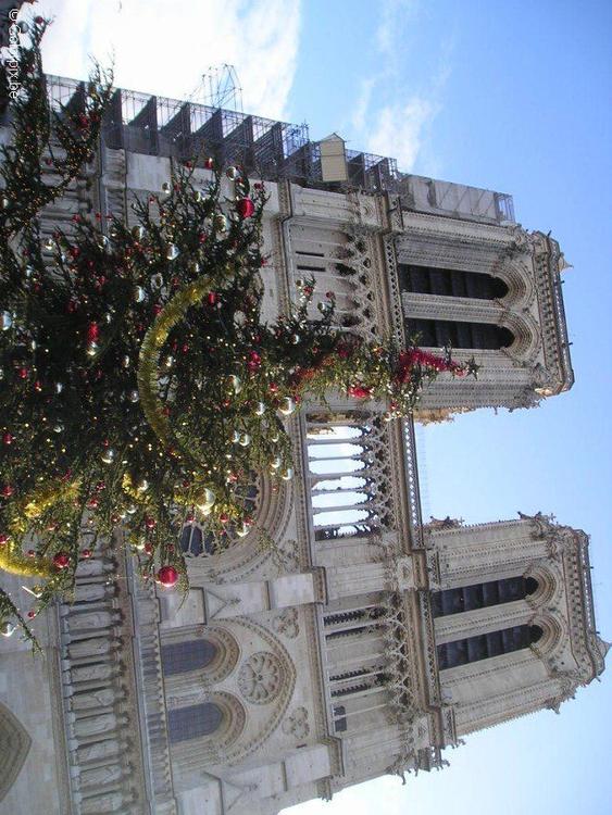 Notre Dame Paris