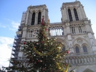 Notre Dame Paris