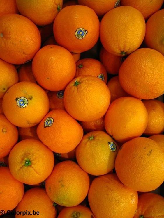 oranges