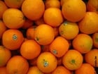 oranges