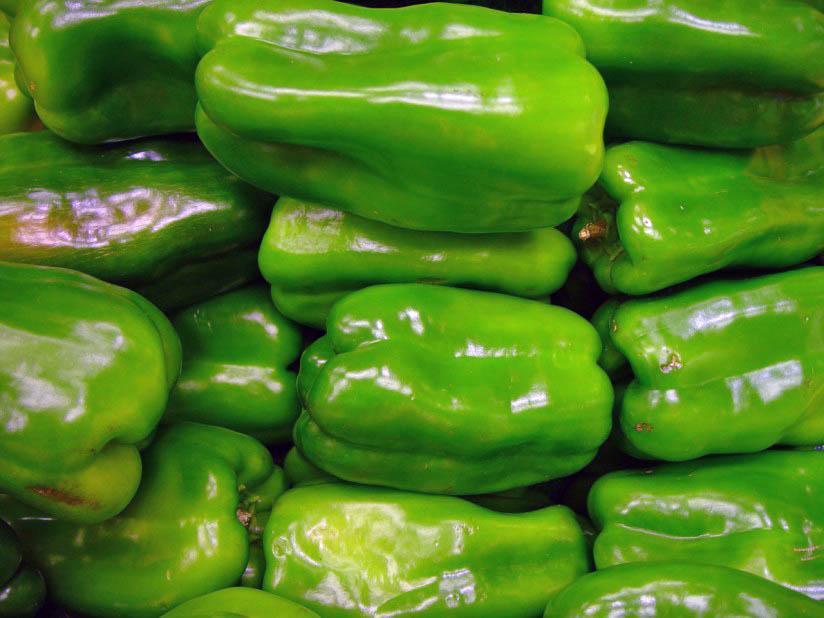 Photo paprikas - green peppers