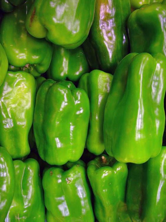 paprikas - green peppers