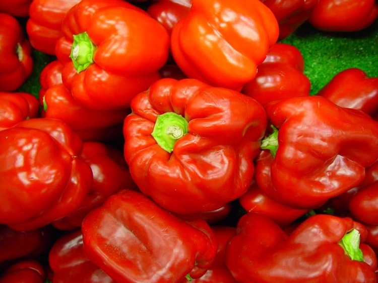 Photo paprikas - red peppers