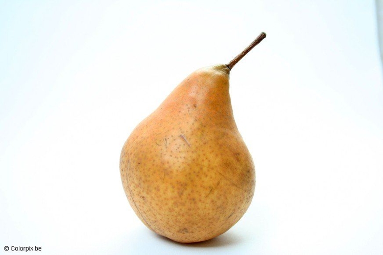 Photo pear