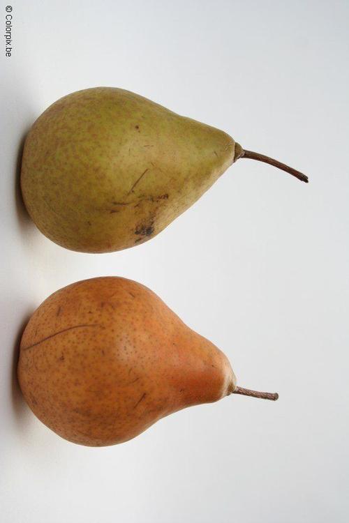 pears