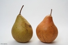 pears