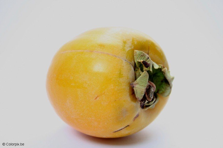 Photo persimmon