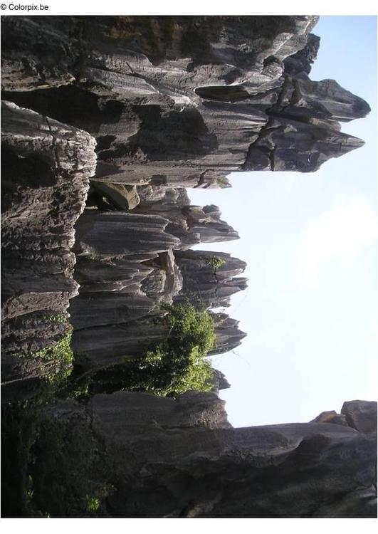 Petrified forest, Kunming 2