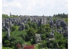 Petrified forest, Kunming