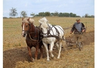 Photo plowing farmer