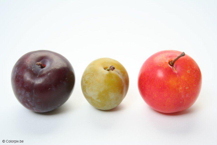 dried plums download free dried plums download free