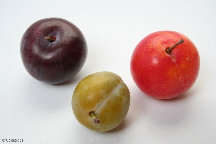 Photo plums