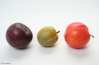 Photos plums