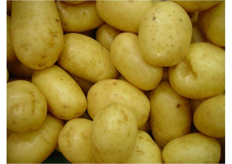 Photo potatoes