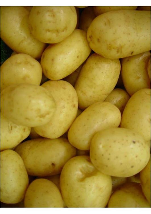 potatoes