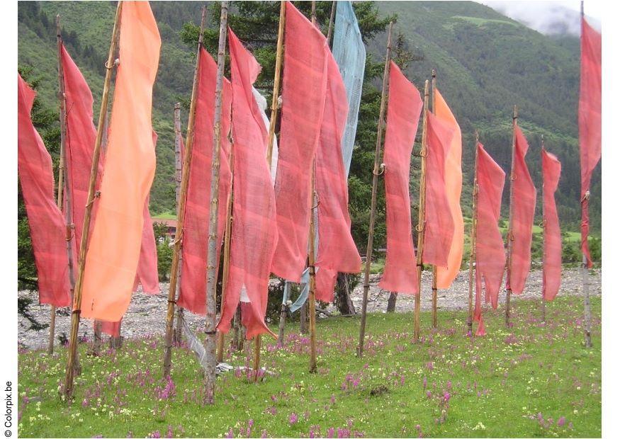 Photo prayer flags