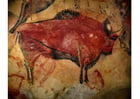 Photos pre-historic painting - bison