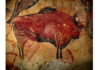 Photo prehistoric art - bison