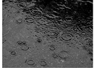 Photos rain