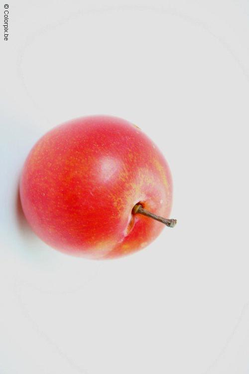 red plum