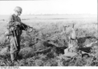 Photos Russia - captured soldiers