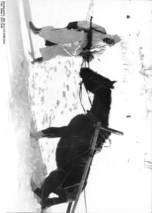 Russia - Soldier with horse in winter