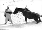 Photos Russia - Soldier with horse in winter