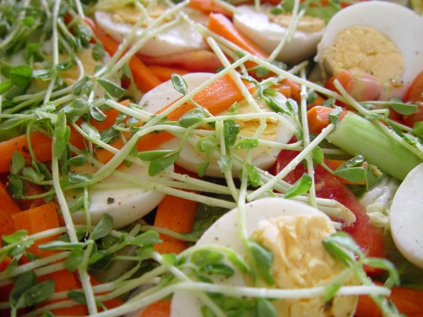 Photo salad