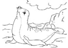 Coloring page seal