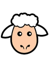 Image sheep