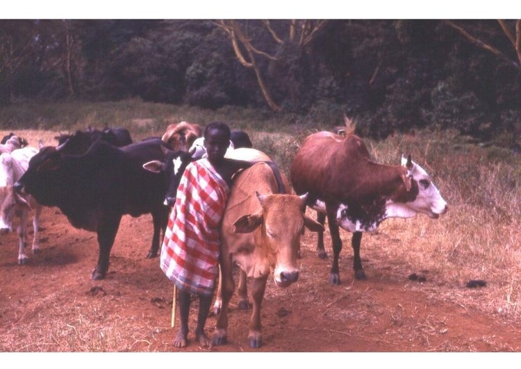 Photo shepherd in Kenya