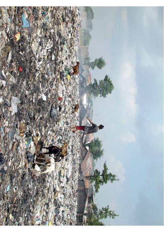 slums in Jakarta