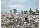 Photos slums in Jakarta