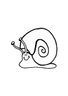 Coloring page snail