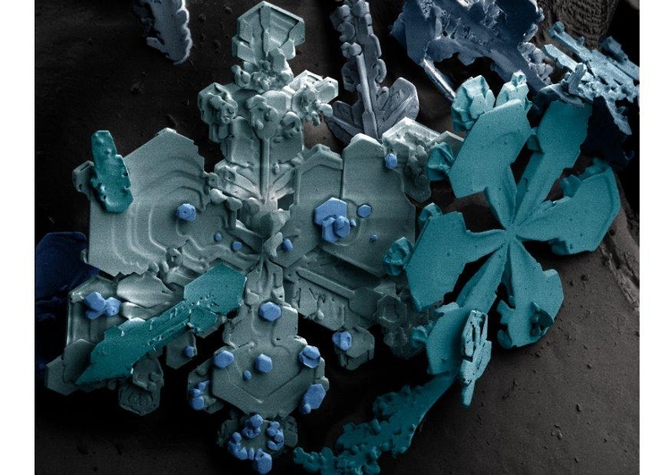 Photo snowflake