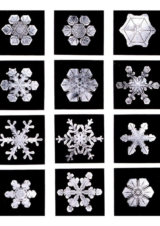 Photo snowflake - ice crystal