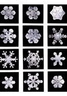 Photo snowflake - ice crystal