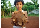 Photo soccer - a tattered football