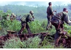 South Vietnam