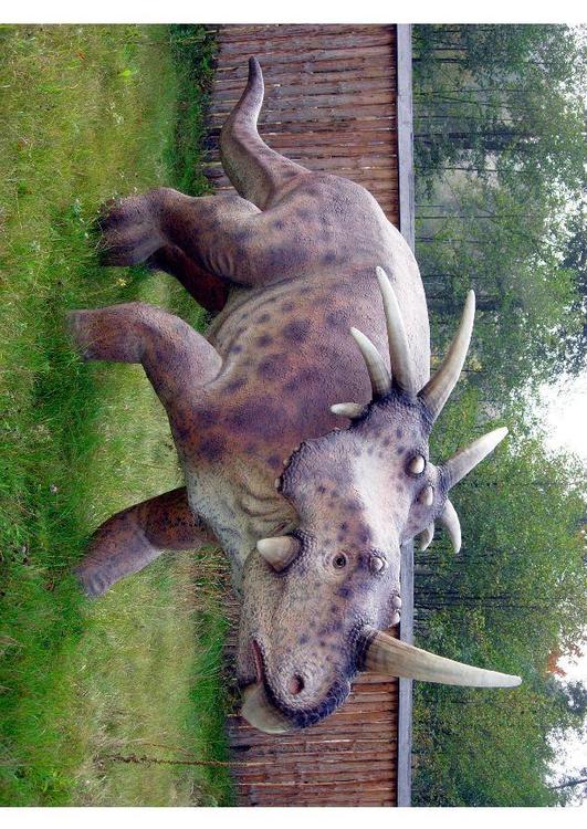 Styracosaur replca