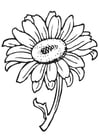 Coloring page sunflower