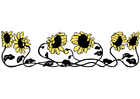 Image sunflowers