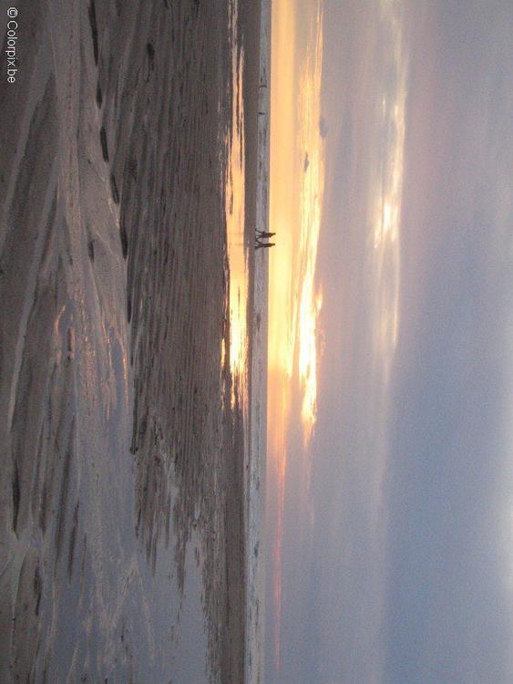 sunset 2