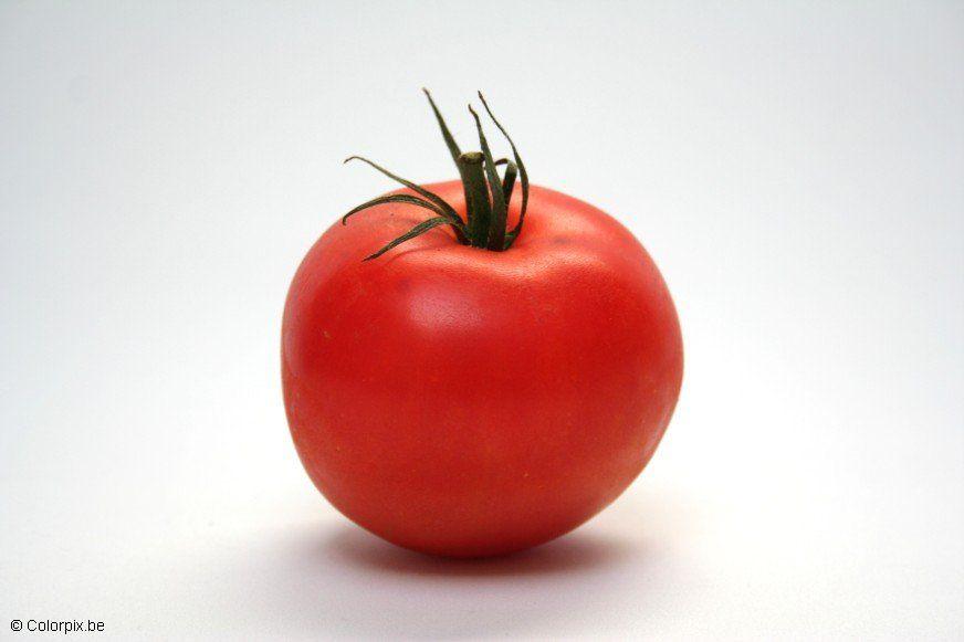 Photo tomato