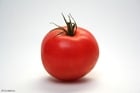 Photos tomato